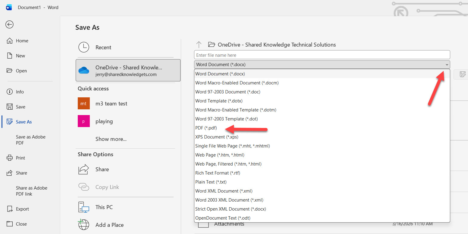 Microsoft Word Save As dialog with the Save as type dropdown open showing PDF, Word Document, and other format options